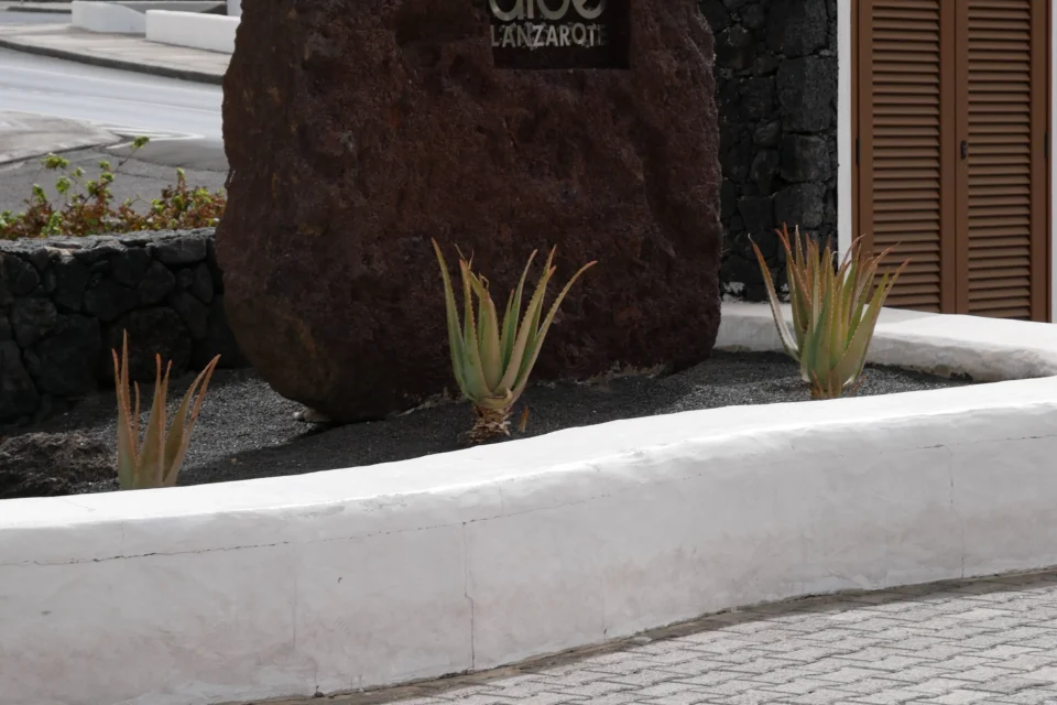 P1000832 960x640